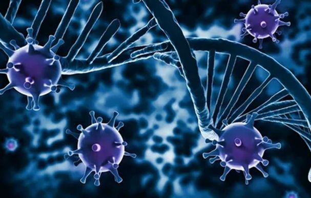 Immunity & Respiratory